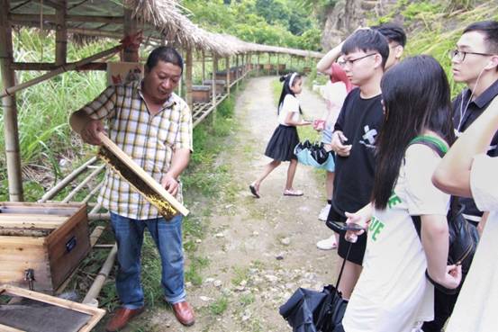 ”善行景宁乡，共圆畲汉梦“国产av影片
景宁梦之队-实地调研当地养蜂业